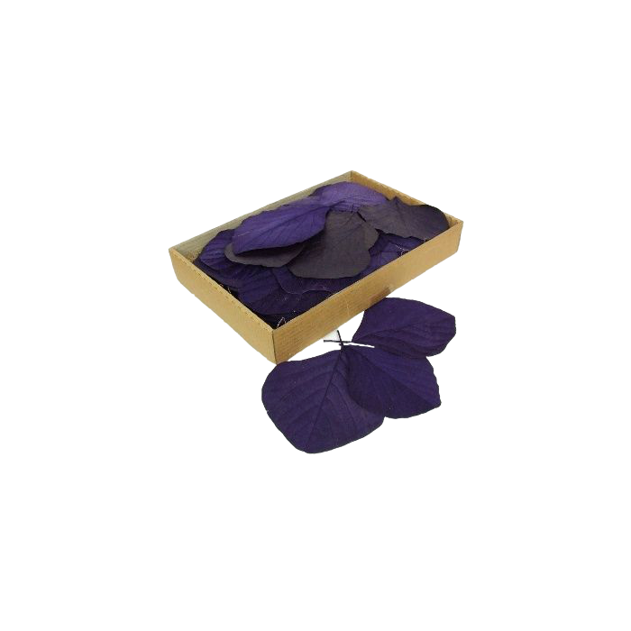 Cobra Leaves Aubergine 100 Per Box