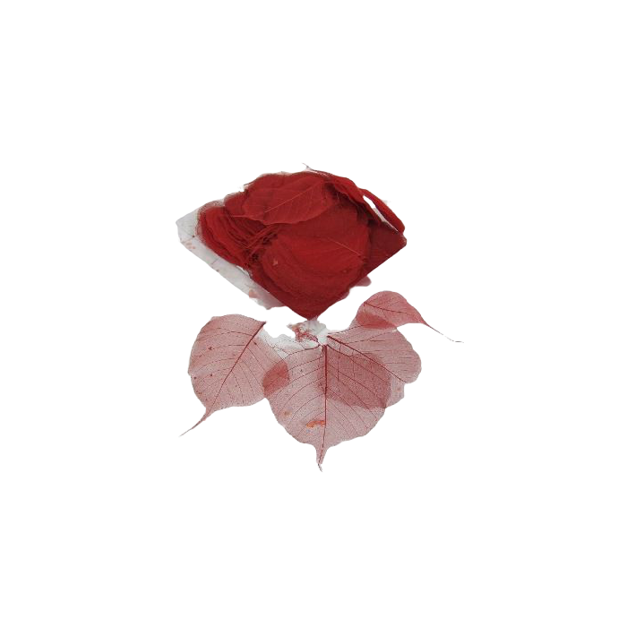 Skeleton Leaves Bleeched Red x 200