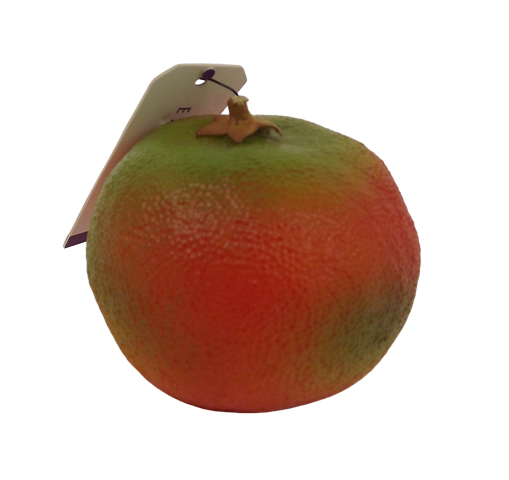 Mandarin w weight 7cm Orange/Green