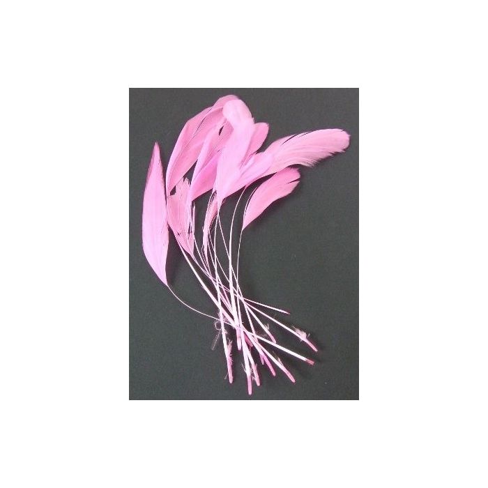 Diamond Feathers x 12 Fushia