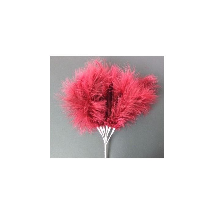 Fluff Feathers x 6 Stems x 6 Bunches Clarret