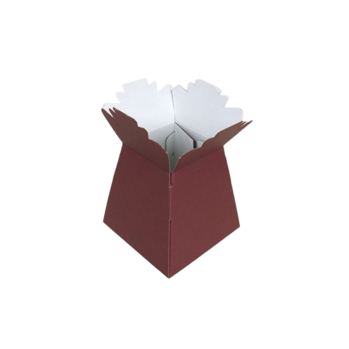 Living Vase (x 30) Burgundy