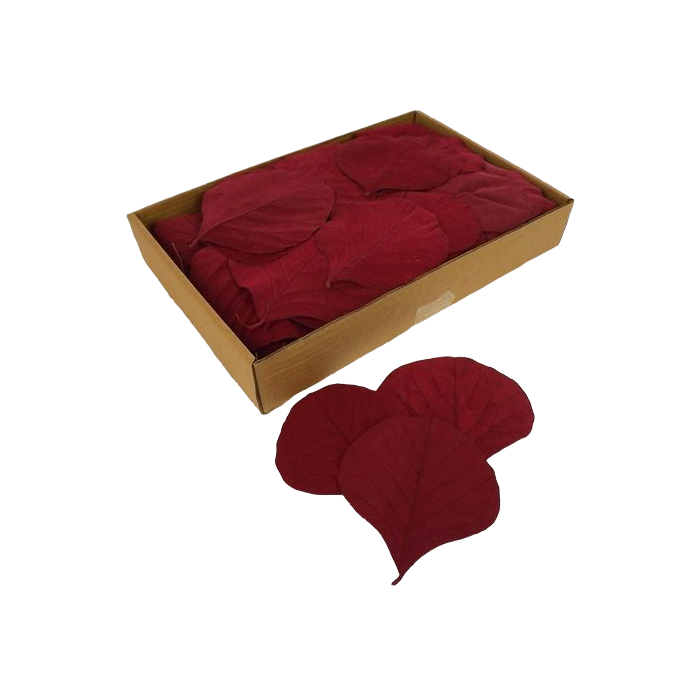 Cobra Leaves Red 100 Per Box