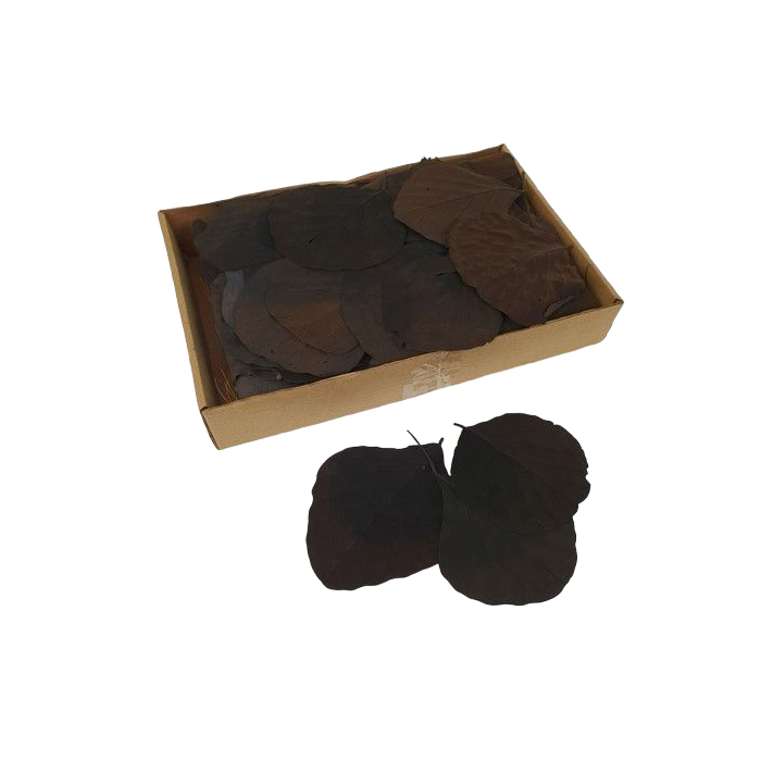Cobra Leaves Black 100 Per Box