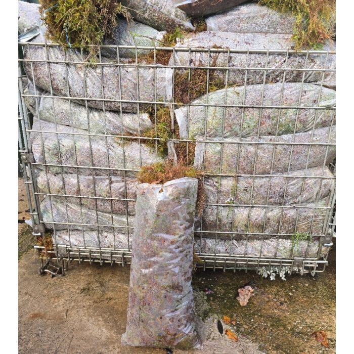 Fresh Moss - Please read additional information.