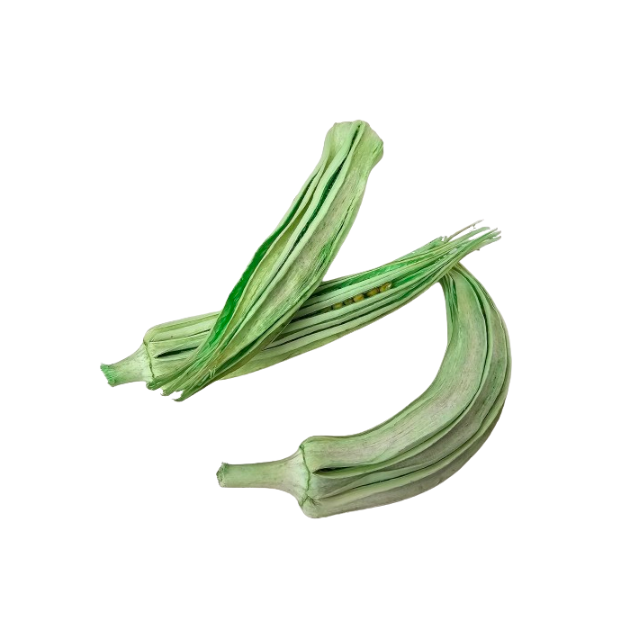 Okra Loose x 20 Mint Green