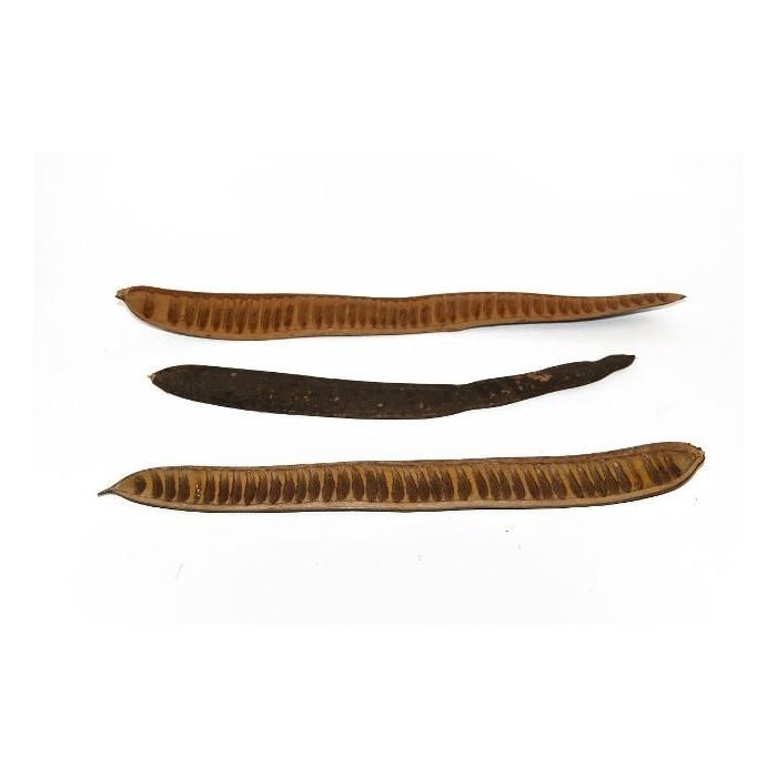 Acaciabeans Natural x 20