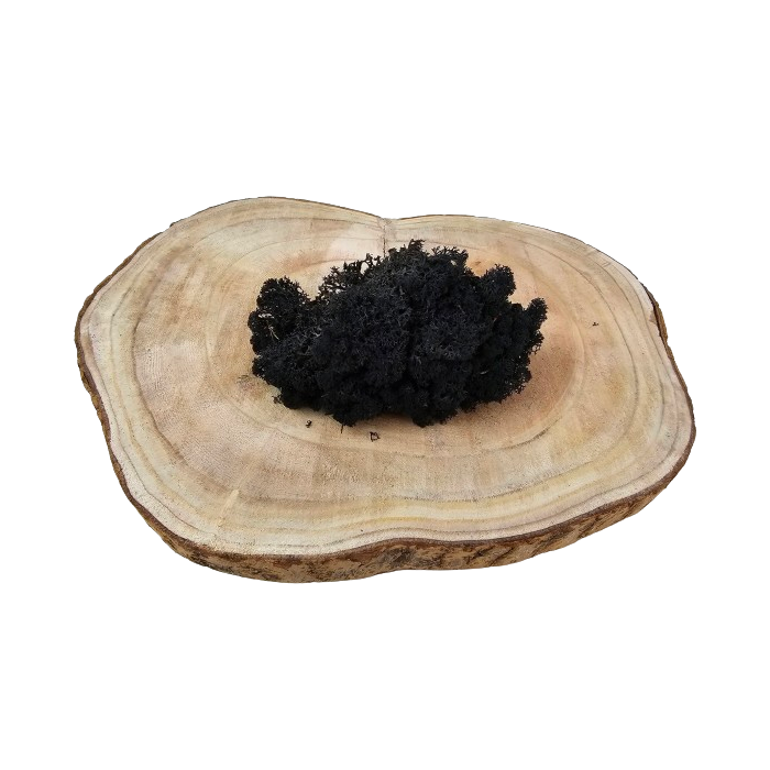 Reindeer Moss (Icelandic Moss) Black