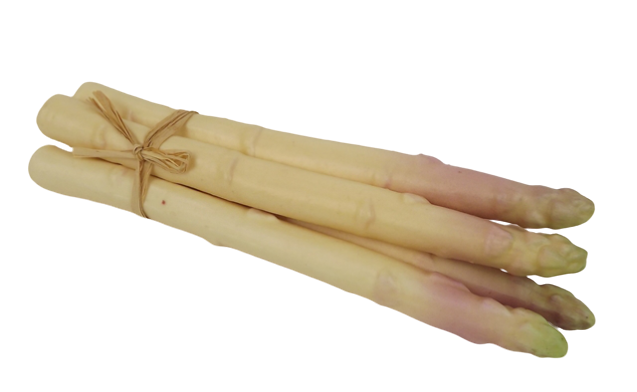 Asparagus Bundle x 5pcs 220mm
