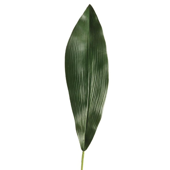 Aspidistra Leaf 75cm
