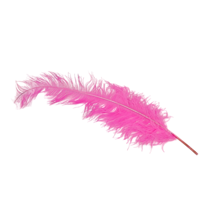Ostrich Feathers Fuschia x 5