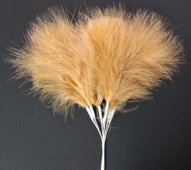 Fluff Feathers x 6 Stems x 6 Bunches Beige