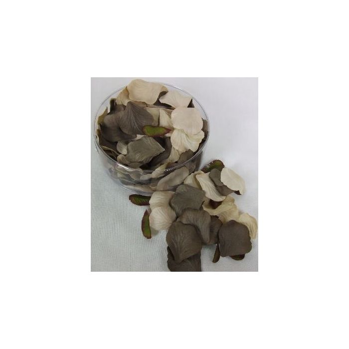 Petal Box x 164 Champagne/Brown