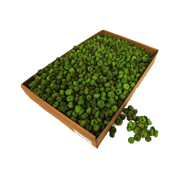 Putka Pods Light Green