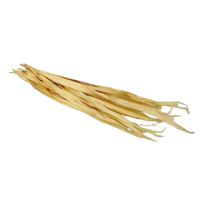 Sun Palm Leaves Bleached