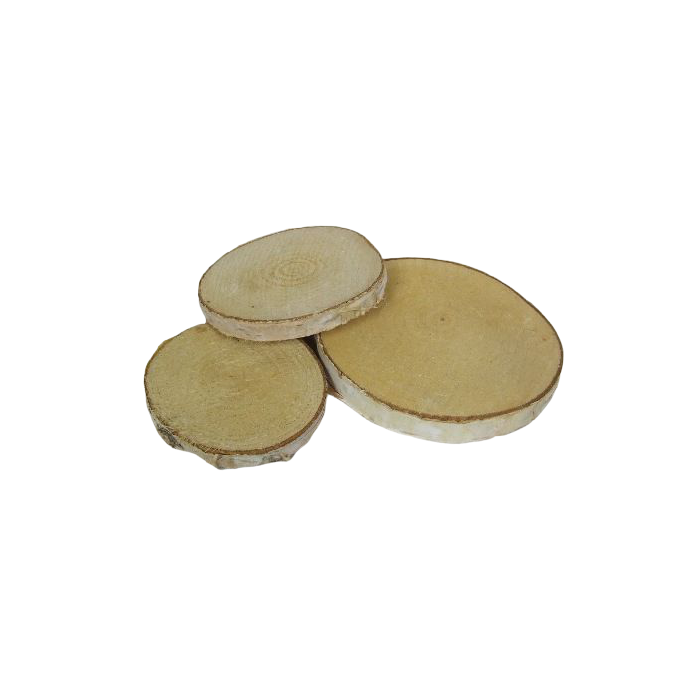 Birch Woodslices Round x 19 pcs 7 - 10cm Diameter