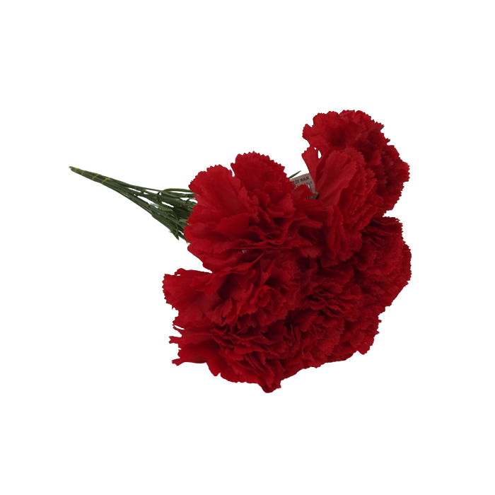 Bloom Carnations Red x 12 Stems