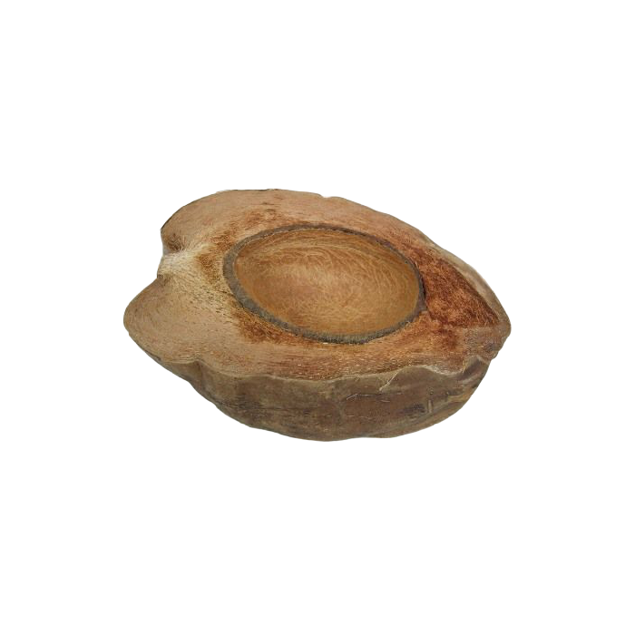 Coconut Half Natural x 3pcs