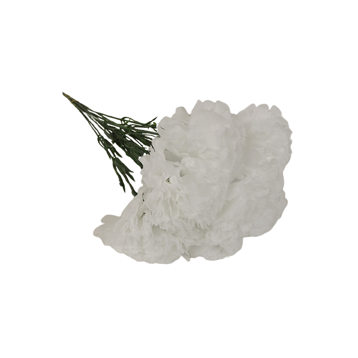 Bloom Carnations White x 12 Stems