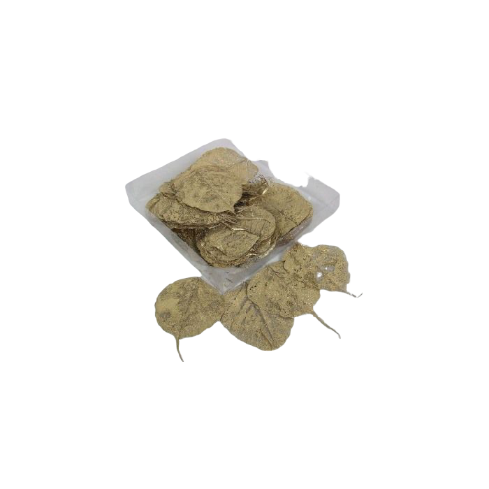 Skeleton Leaves Bleached Gold x 200