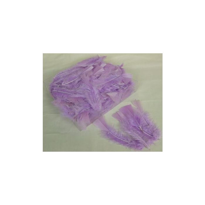 Turkey Feathers Box Lilac (Fresie)