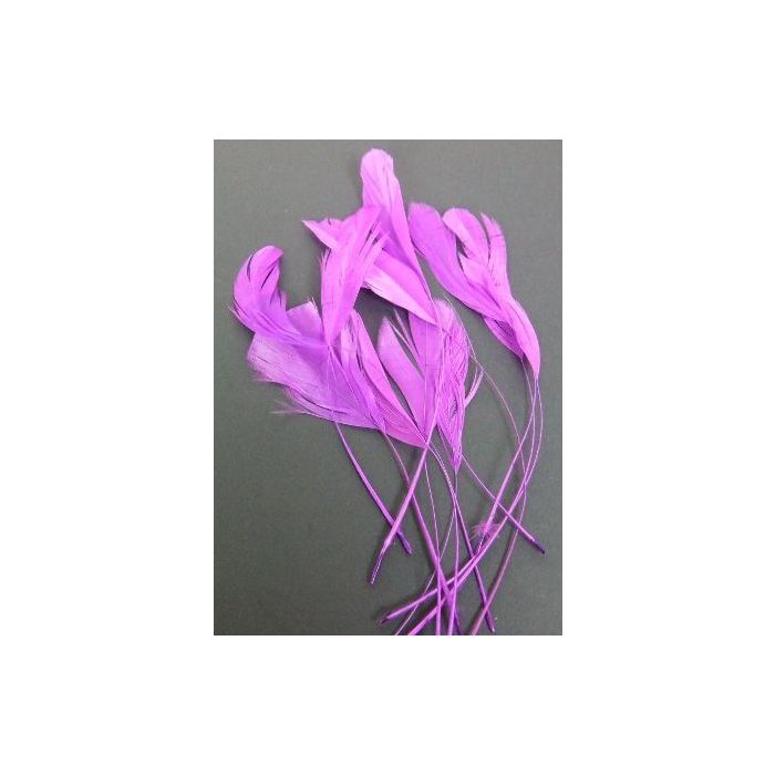 Diamond Feathers x 12 Plum