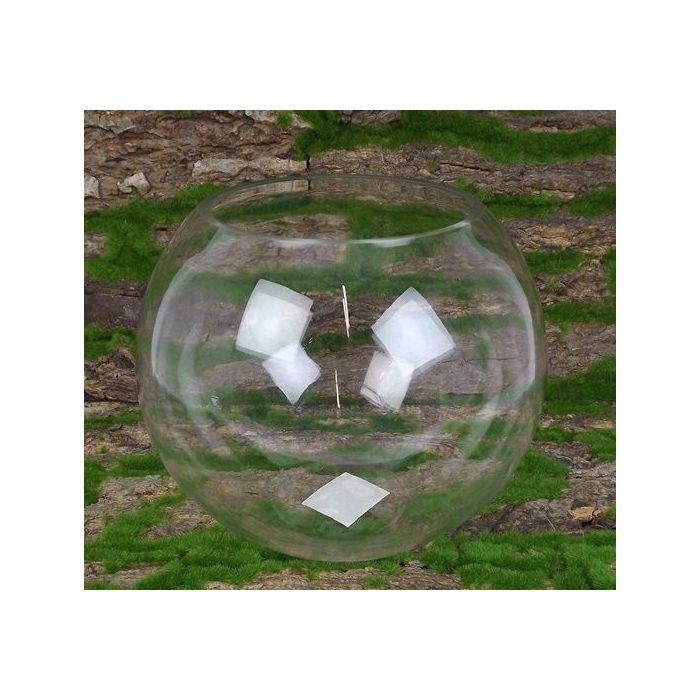 Glass Bubble Bowl 25 x 21cm