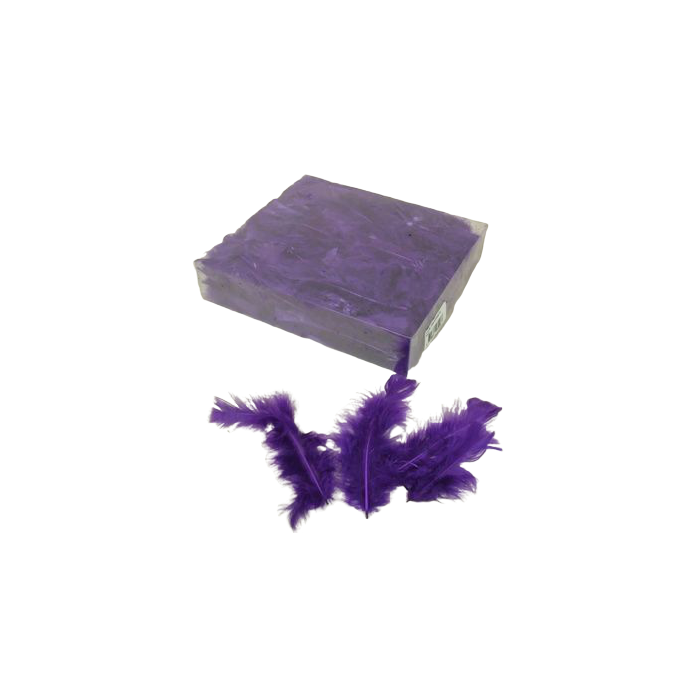 Turkey Feathers Box Aubergine