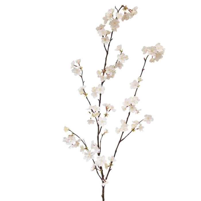 Cherry Blossom 127cm Cream