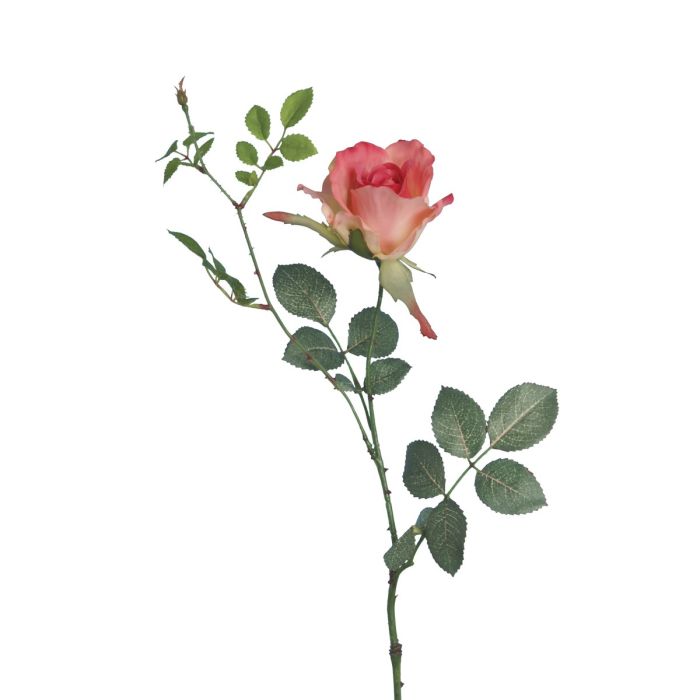 Alice Rose Melon 70cm