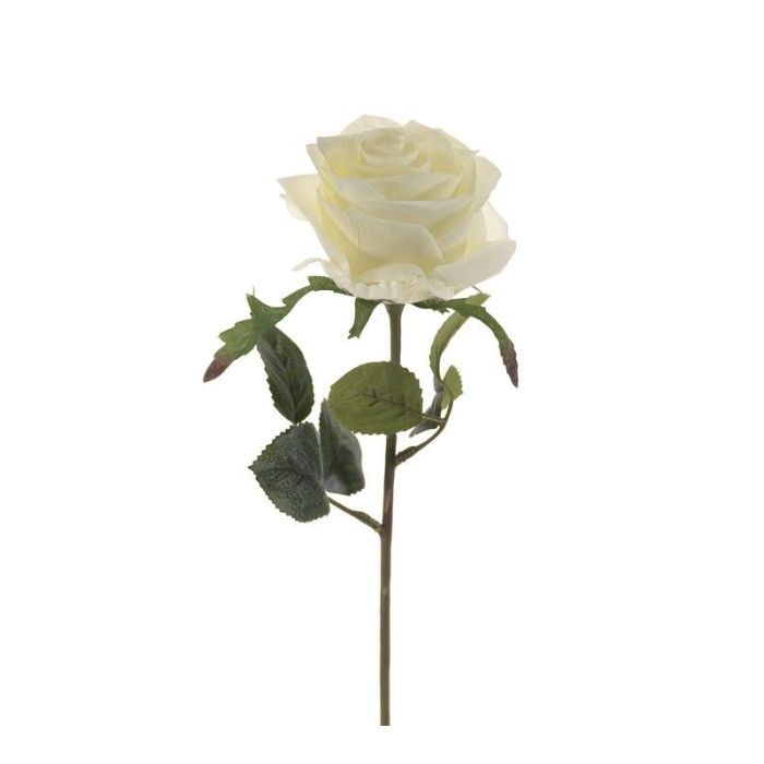 Rose Simone White 45cm
