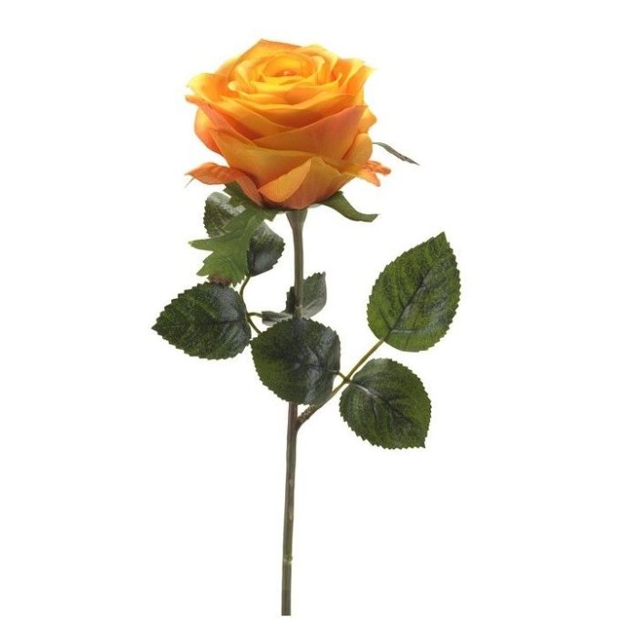 Rose Simone Yellow/Orange 45cm