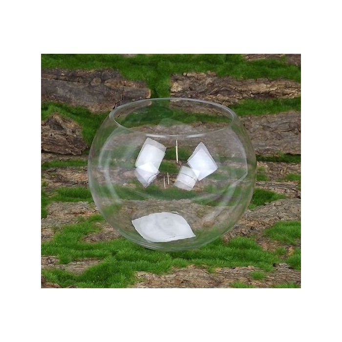 15 x 12cm Glass Bubble Bowl