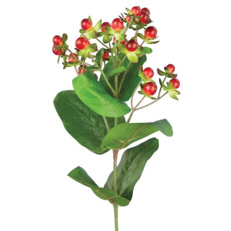 Hypericum x 23 Berries W/72 Leaves Red