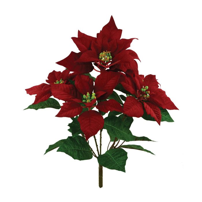 Velvet Poinsettia Bush Red 45cm