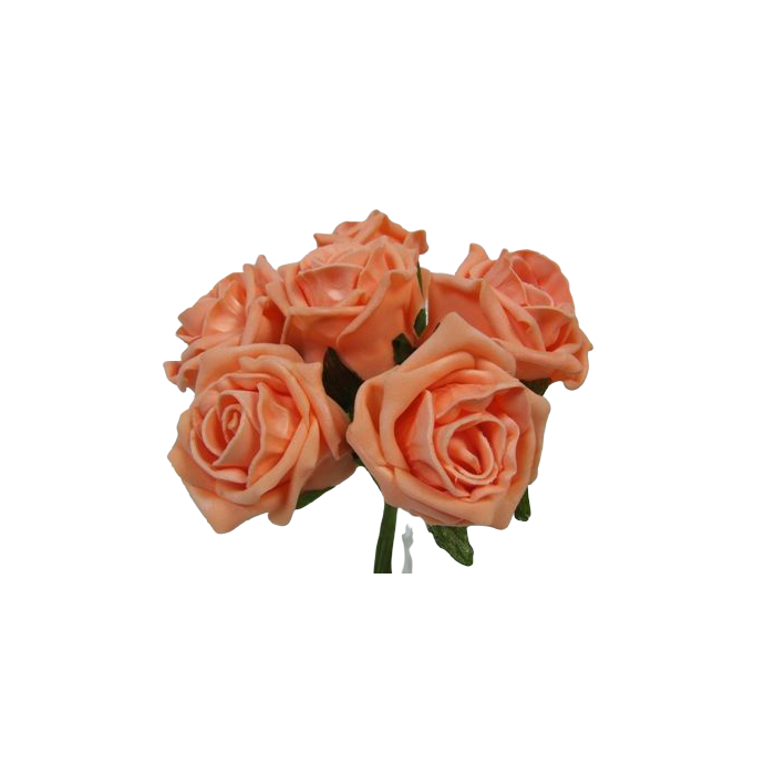 Foam Colourfast Cottage Rose x 6 Apricot