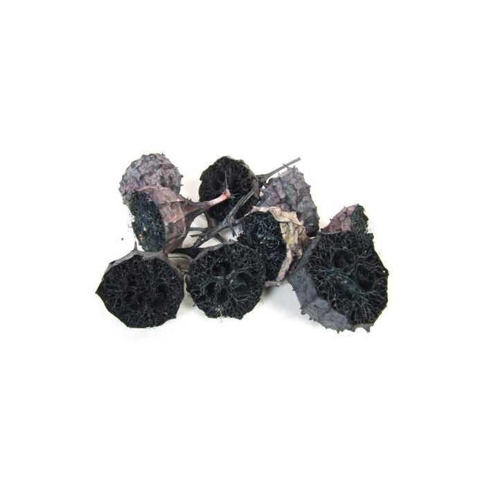 Lufa Spiky Half Black x 20