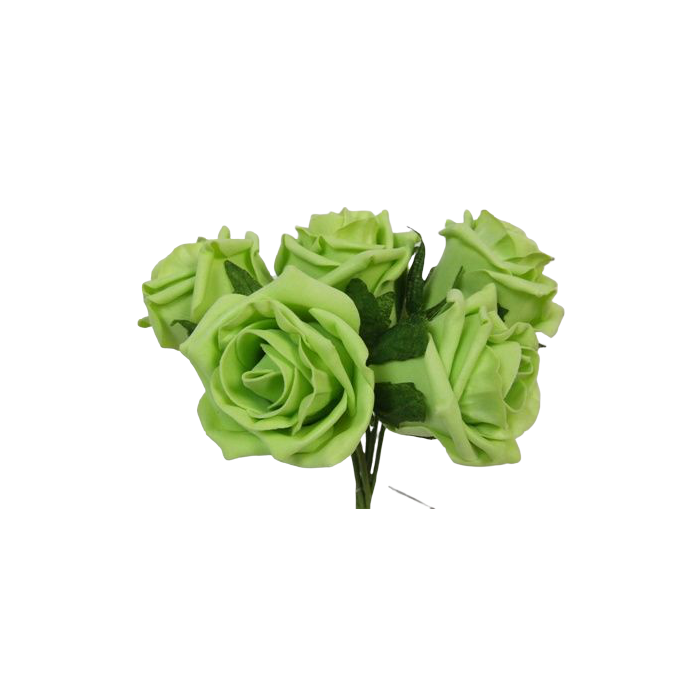 Foam Colourfast Cottage Rose x 6 Lime - DIS