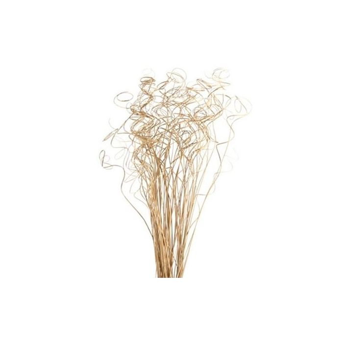 Ting Ting Curly Stems x 100gms Various Colours Christmas Flower Decoration
