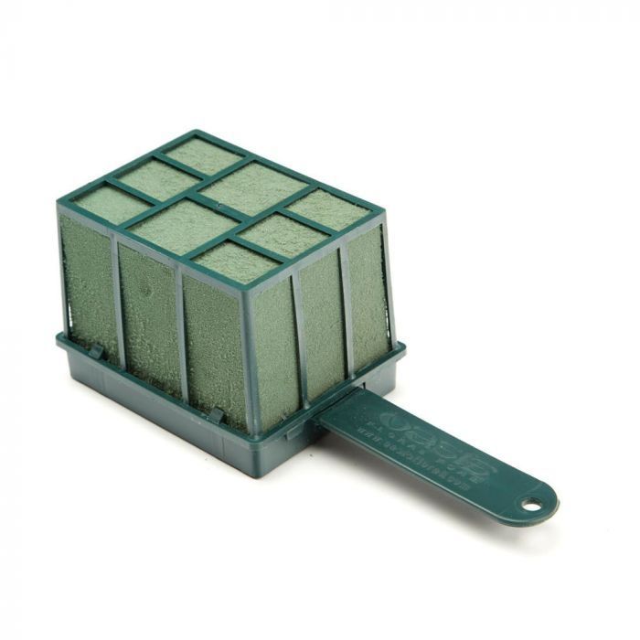 Oasis Florette Petite 23 x 9 x 8cm