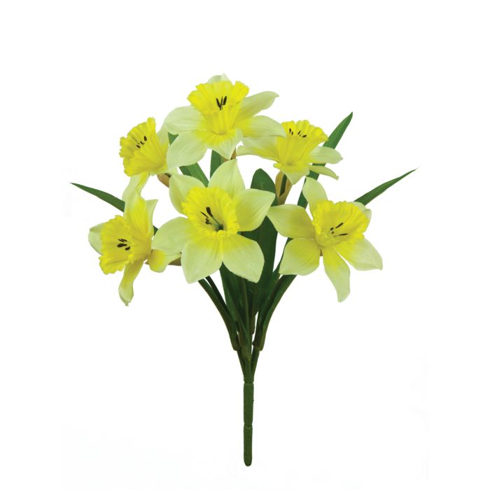 Daffodil Bush x 6 Flowers Yellow 35cm