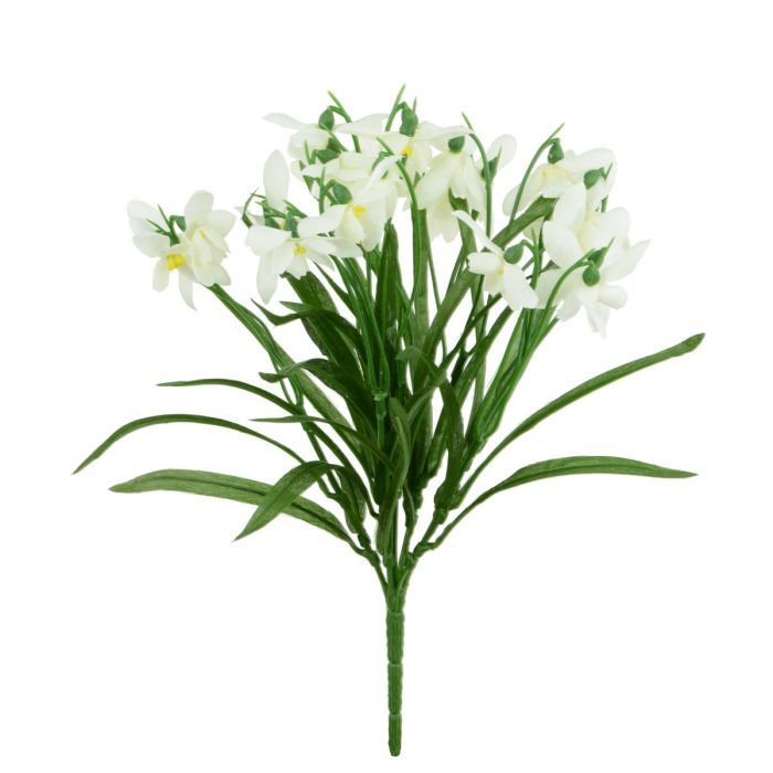 Snowdrop Bush Ivory 30cm