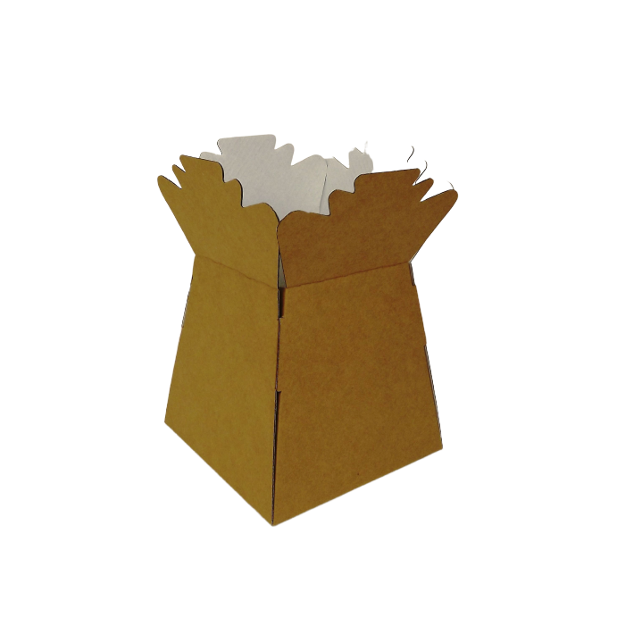 Natural Kraft Living Vases x 30