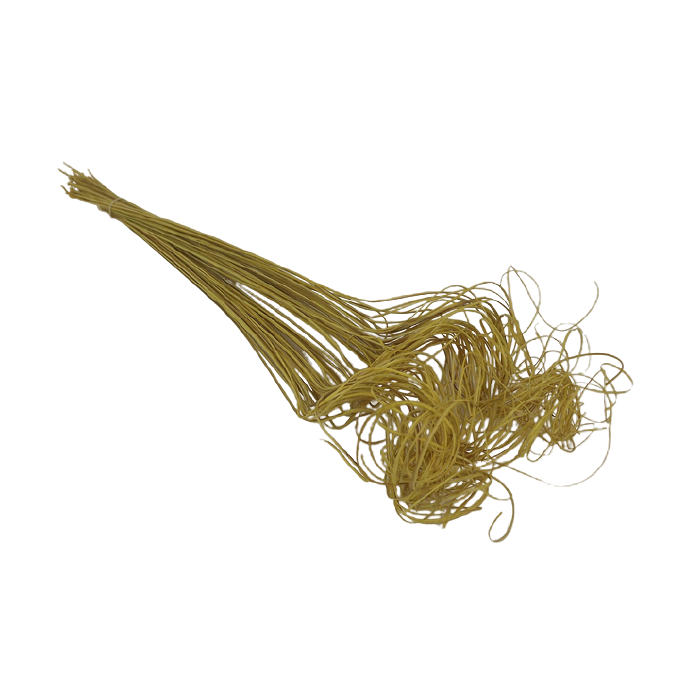 Ting Ting Yellow Bunch