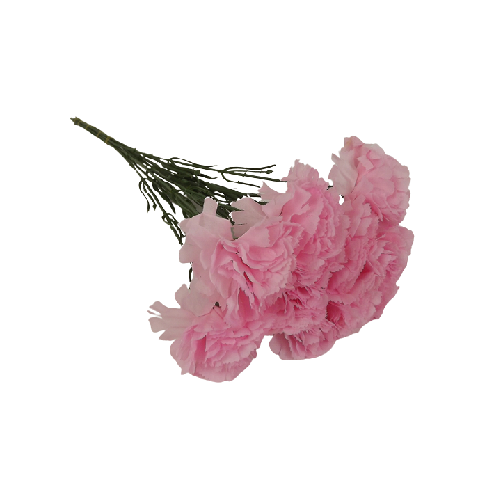 Bloom Carnations Pink x 12 Stems