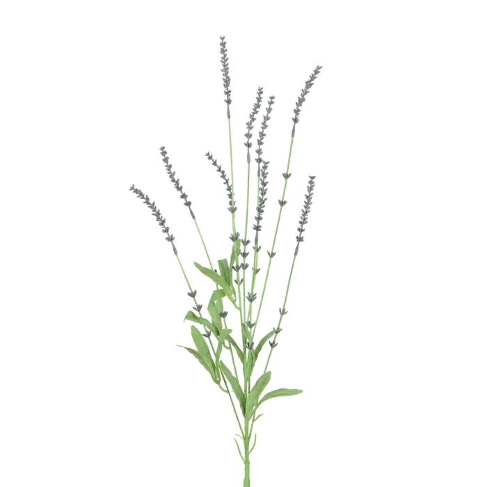 English Lavender Spray 85cm