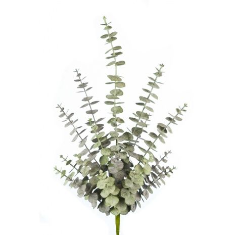 Spiral Eucalyptus Spray 70cm Green