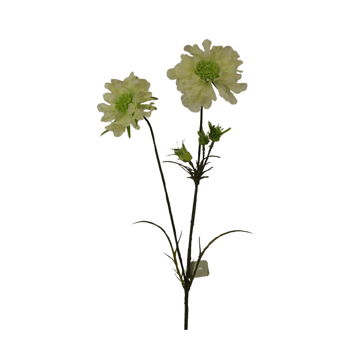 Scabiosa Spray-84cm Cream