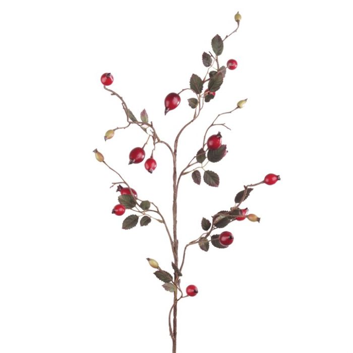 Rose Hip Spray 80cm