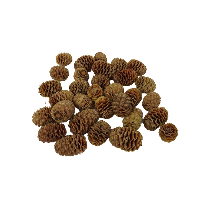 Leuc. Sabulosum Heads x 1kg